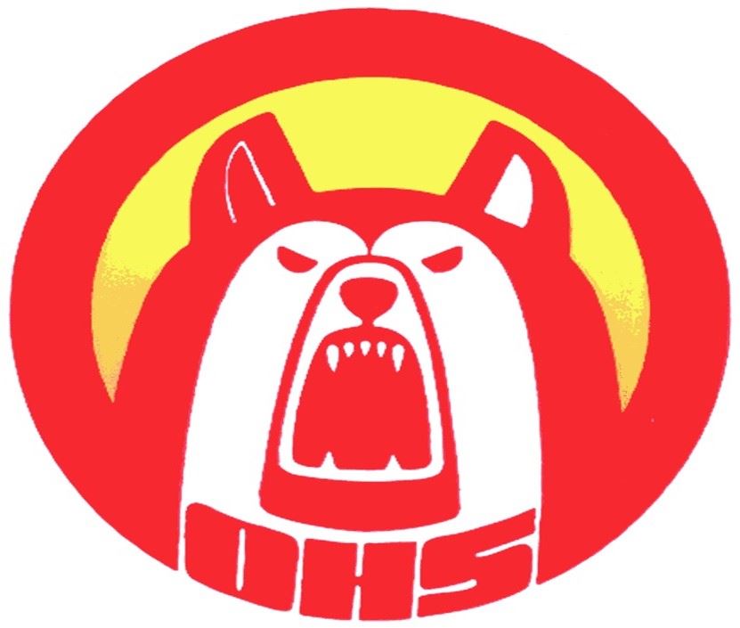 Olean HIgh School Huskie